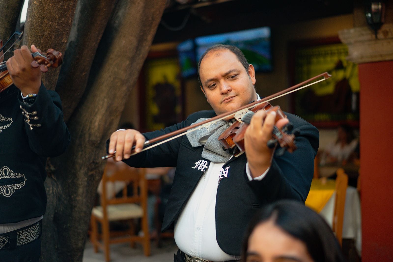 Keman Sanatçısı Kiralama Hizmeti